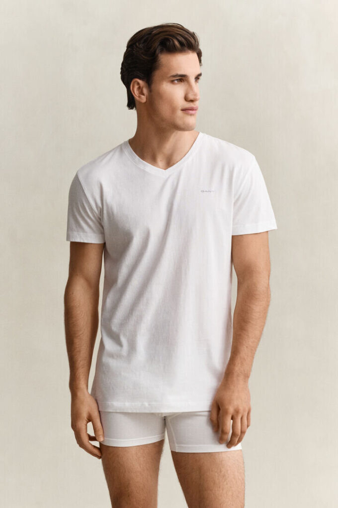 2-Pack V-Neck T-Shirts 2-Pack V-Neck T-Shirts