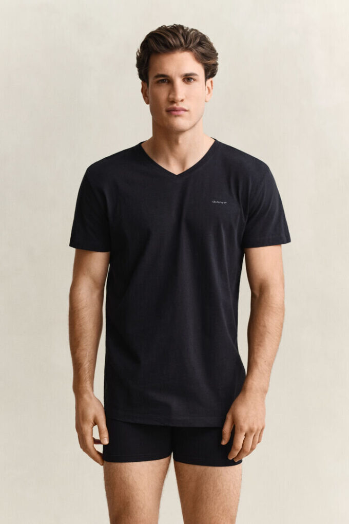 2-Pack V-Neck T-Shirts 2-Pack V-Neck T-Shirts