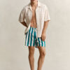 Block Striped Swim Shorts