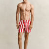 Block Striped Swim Shorts