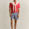 Block Striped Swim Shorts
