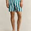 Block Striped Swim Shorts