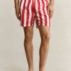 Block Striped Swim Shorts