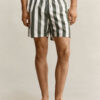 Block Striped Swim Shorts