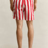 Block Striped Swim Shorts