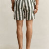 Block Striped Swim Shorts