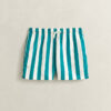 Block Striped Swim Shorts