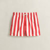 Block Striped Swim Shorts