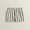 Block Striped Swim Shorts