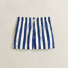 Block Striped Swim Shorts