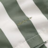 Block Striped Swim Shorts