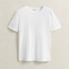 Cotton T-Shirt Cotton T-Shirt