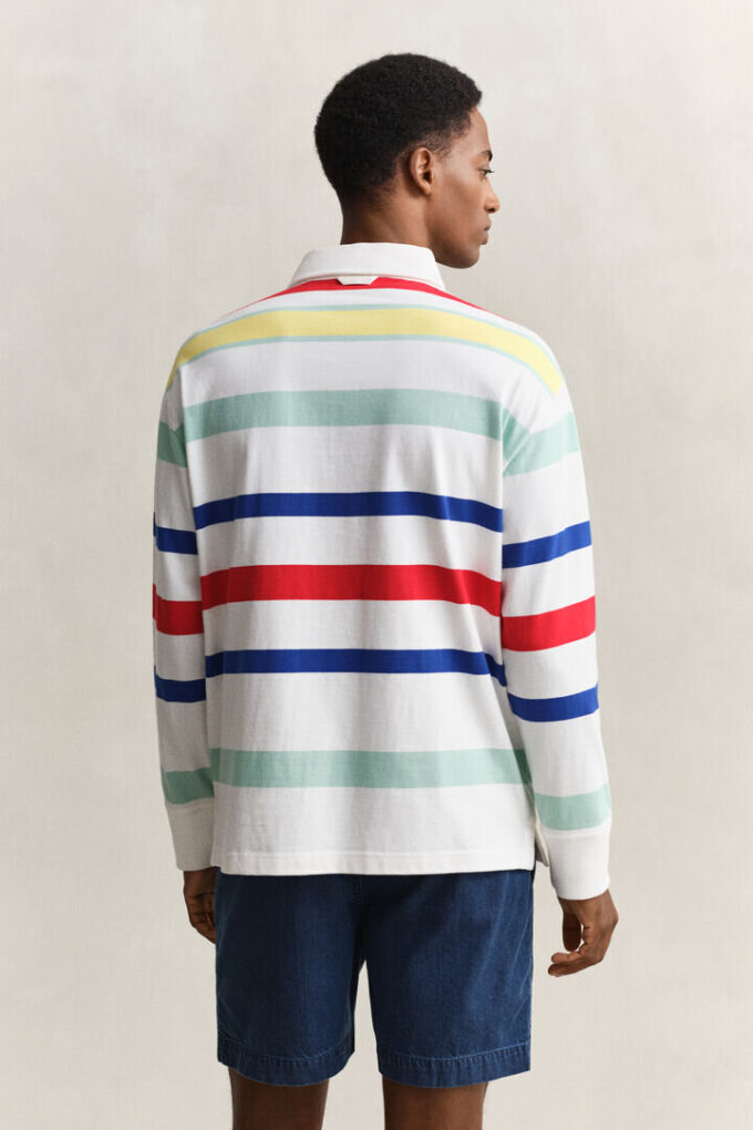 Multicolored Rugger Multicolored Rugger