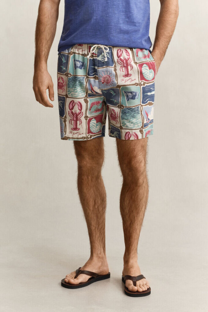 Nautical Shorts