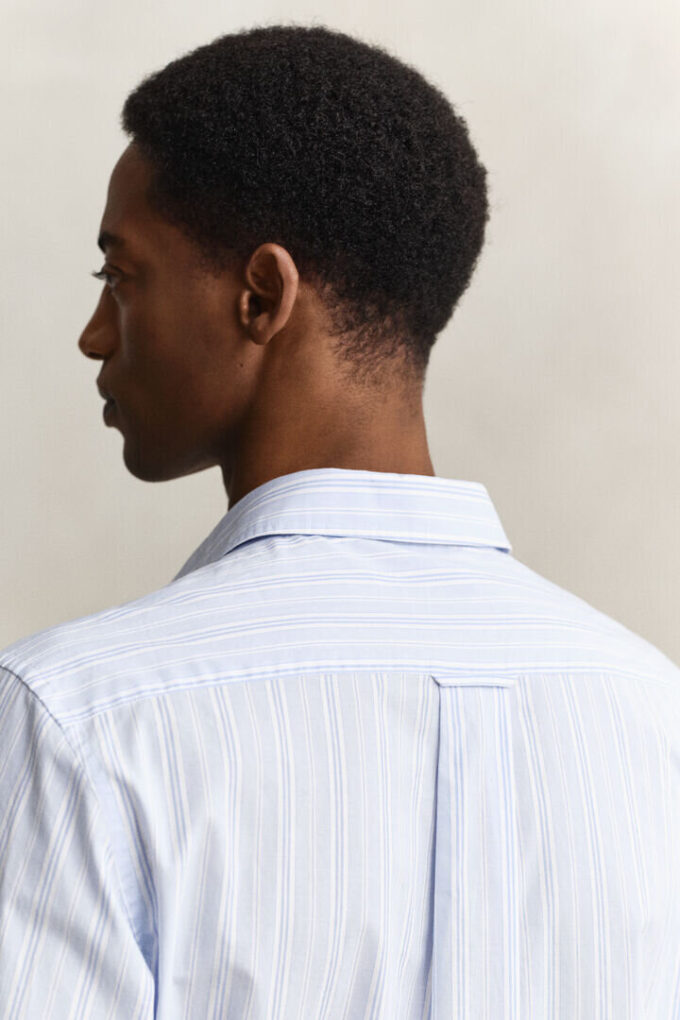 Regular Fit Dobby Striped Shirt Regular Fit Dobby Striped Shirt