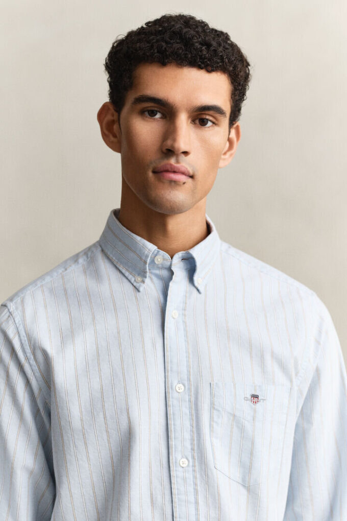 Striped Classic Oxford Shirt Striped Classic Oxford Shirt