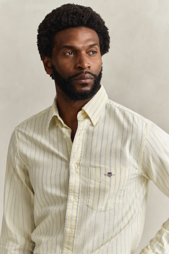Striped Classic Oxford Shirt Striped Classic Oxford Shirt