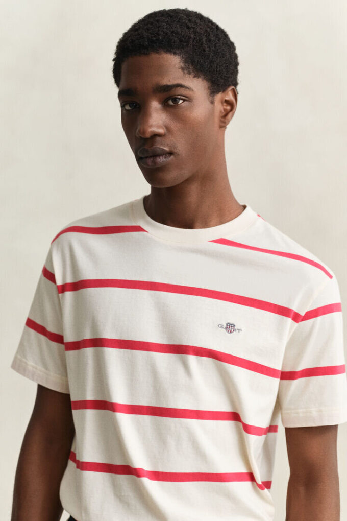 Striped T-Shirt Striped T-Shirt
