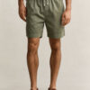 Sunfaded Shorts